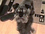 14-12-08_1818.jpg